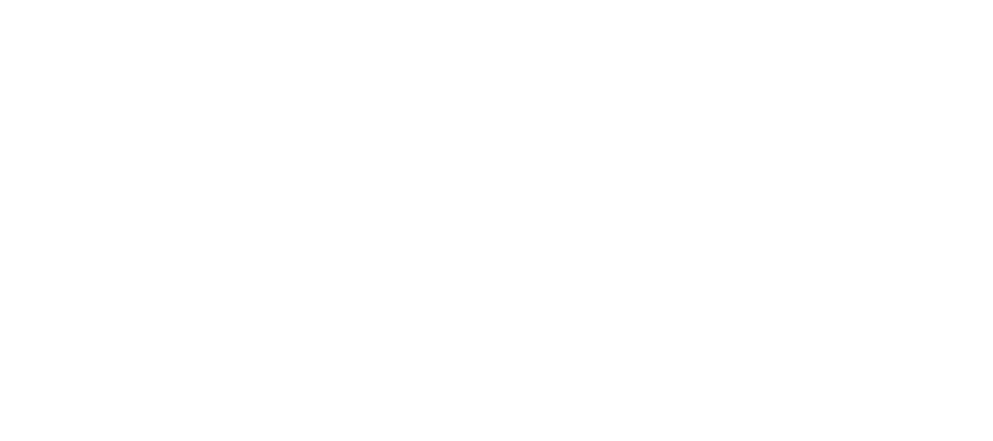 Wheelers Insights